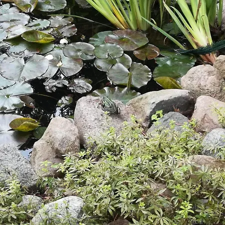 アパート S Viering *