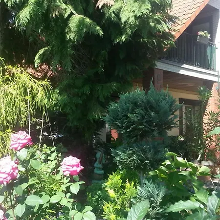 S Viering * ベルナウ・バイ・ベルリン